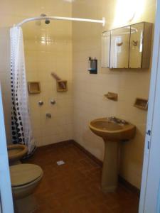 内科切阿Sur Hotel的浴室配有卫生间、盥洗盆和淋浴。