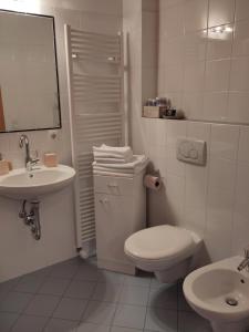 韦尔图尔诺Schrotthof的白色的浴室设有卫生间和水槽。