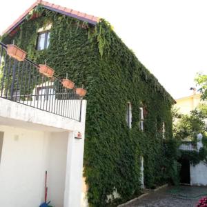菲盖拉-达福什Casa Agrícola Do Limonete的车库旁一座被绿色常春藤覆盖的建筑