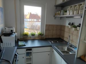 纽伦堡Wie Daheim的一个带水槽和窗户的小厨房
