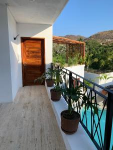 锡瓦塔塔内霍Luana suites- Suite Nikté的阳台种植了盆栽植物,设有木门。