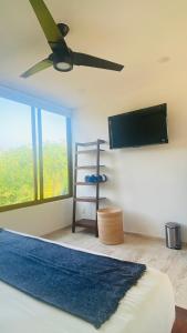 锡瓦塔塔内霍Luana suites- Suite Nikté的一间卧室配有一张床和一台平面电视