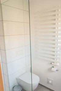 哈雷威斯特法伦Apartment Haak的一间带卫生间和玻璃淋浴间的浴室
