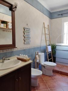 奇克拉纳－德拉弗龙特拉Casa Rural Asgard的一间带水槽、卫生间和镜子的浴室