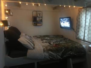 MellisMr Hares shepherd hut的一间卧室配有一张床、一台电视和灯光