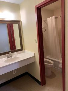 HiawathaFairBridge Inn Express Hiawatha的一间带水槽、卫生间和镜子的浴室