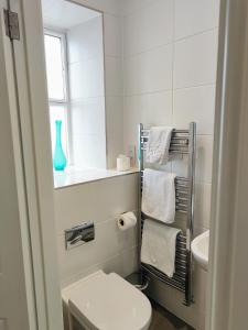 温德米尔The Elleray的白色的浴室设有卫生间和水槽。