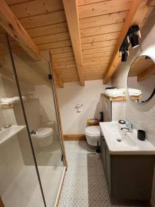 Feissons-sur-SalinsAppart Duplex Chalet plein Sud的带淋浴、盥洗盆和卫生间的浴室