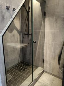 厄什塔Reinebu的浴室里设有玻璃门淋浴