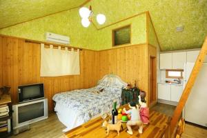 蔚山Matryoshka Pension的一间卧室配有床、电视和玩具