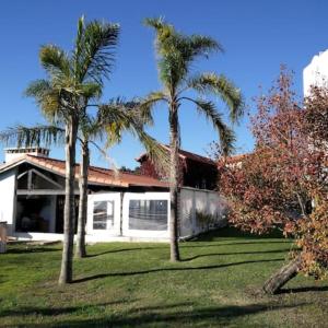 菲盖拉-达福什Casa Agrícola Do Limonete的两棵棕榈树在房子前面