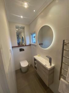瑟尔Bon Accord的一间带水槽、卫生间和镜子的浴室