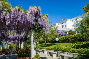 贝尔蒙特贝尔索酒店的花园,花园内有紫色紫藤,花园的柱子上有长椅
