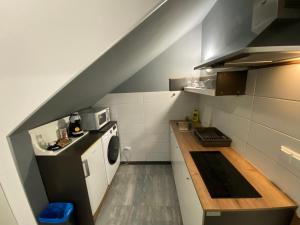 萨格勒布Grey Suites的一个带洗衣机和烘干机的小厨房