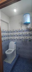 大吉岭Blue Valley Apartment的一间带卫生间和淋浴的浴室
