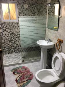 圣多明各Guest-House alquiler的一间带卫生间和水槽的浴室