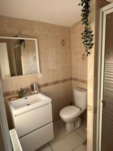 Saint-Jean-de-ThuracLa Maison des Eaux的浴室配有白色卫生间和盥洗盆。