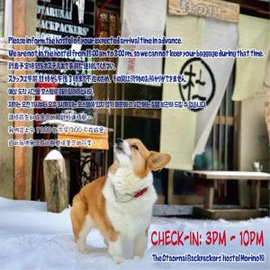 小樽The Otaornai Backpacker's Hostel Morinoki的一只头顶在雪中坐着的狗