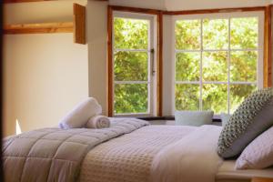 但尼丁Kaimata Cozy的一间卧室设有一张大床和两个窗户
