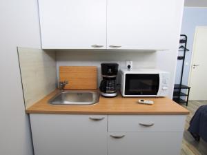 萨翁林纳Savonlinna Rentals的厨房柜台设有水槽和微波炉