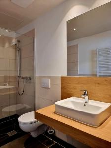 施内贝格Pension Rio的一间带水槽、卫生间和镜子的浴室