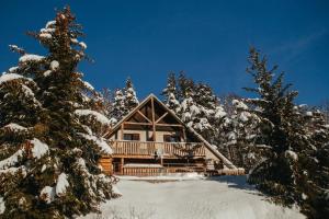 Saint-Andéol克洛斯前恩韦科尔度假屋的雪中树下的小木屋