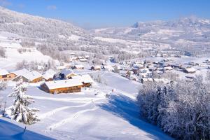 施瓦岑贝格HEUBERG 1014 - FERIEN - Wohnen的一座小村庄,被雪覆盖,后面是群山