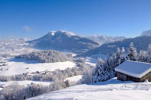 施瓦岑贝格HEUBERG 1014 - FERIEN - Wohnen的山底雪中小屋