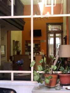 布宜诺斯艾利斯Derby Home Hotel的坐在桌子上的盆栽植物群