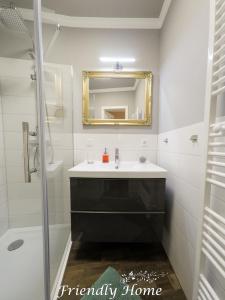 BrenigFriendly Home - Einzelappartement "Calm" Köln Bonn Phantasialand的一间带水槽和镜子的浴室