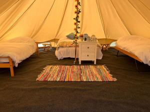 沃金厄姆Strawberry Fields Glamping at Cottrell Family Farm的一间设有两张床的房间和一个帐篷内的地毯