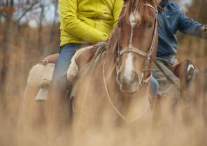 百内三塔Explora en Torres del Paine - All Inclusive的骑马的人