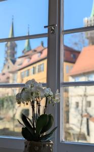 班贝格Hotel Martin am Dom的花瓶,花朵花朵,坐在窗户里