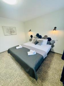 考纳斯Alanta Apartments Easy Kaunas的一间卧室配有一张大床和两条毛巾