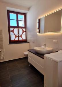 施内贝格Ferienwohnung Rio的一间带水槽、镜子和卫生间的浴室