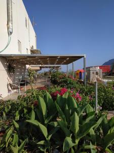 凯法洛斯萨瓦斯公寓式酒店的鲜花盛开的花园及建筑