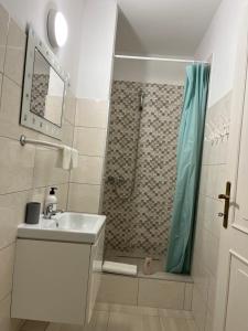 索普隆Jager Guesthouse的一间带水槽和淋浴的浴室