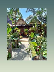 皮皮岛P P Garden Home Bungalow的一座种植了植物和树木的花园,一座建筑