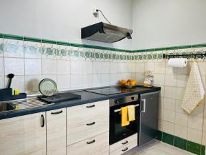 蓬塔利亚纳Casa Vista Pájaro的厨房配有水槽和炉灶 顶部烤箱