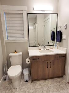 朗福德Feel like Home!的一间带卫生间、水槽和镜子的浴室