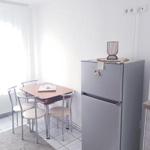 托普利察Apartament Ana的厨房配有桌子和冰箱