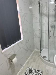 考文垂Regent 28的带淋浴的浴室和玻璃门