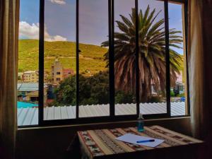 科恰班巴La Casita Feliz...!!!的从客房的窗户可欣赏到棕榈树的景色