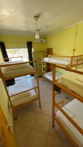 乌巴图巴绿色港湾旅舍的宿舍间设有几张双层床。