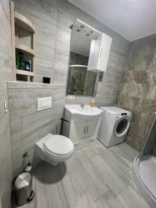 卢布尔雅那MURIC Apartman 8的浴室配有卫生间水槽和洗衣机。