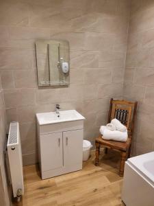 Pen-y-caeThe Ancient Briton的一间带水槽、卫生间和镜子的浴室