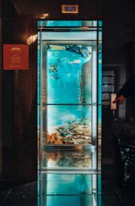 科巴里德Hotel Hvala Superior - Topli Val的水中鱼的展示箱