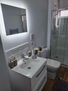 梅德斯通Serene getaway Apartments的白色的浴室设有水槽和淋浴。