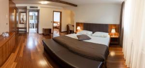 科巴里德Hotel Hvala Superior - Topli Val的一间卧室,卧室内配有一张大床