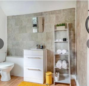 布里奇诺斯Bernards Hill的浴室配有白色水槽和卫生间。
